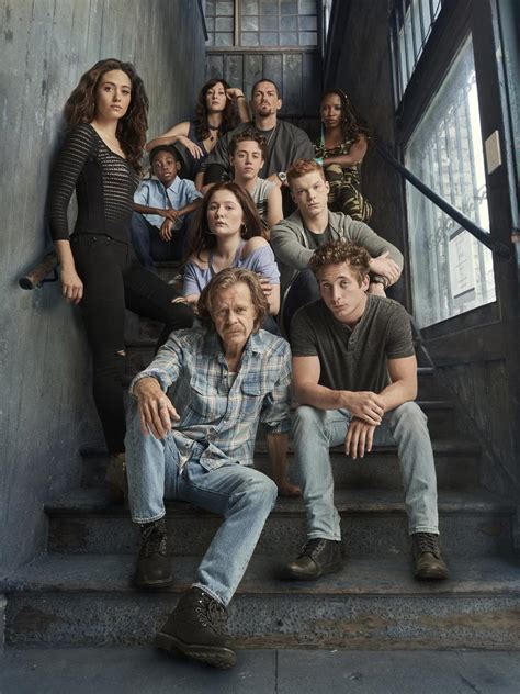 shameless complete|shameless 8 season.